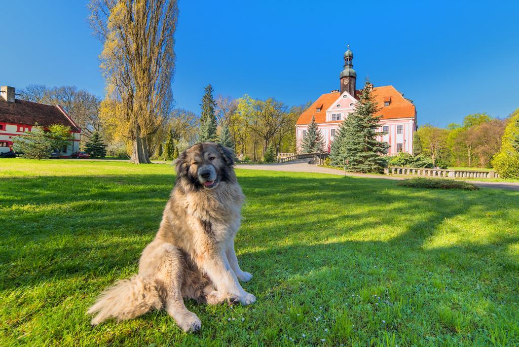 Boutique Palac Warmatowice Sienkiewiczowskie Легница Экстерьер фото