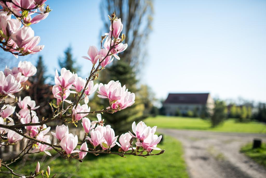 Boutique Palac Warmatowice Sienkiewiczowskie Легница Экстерьер фото